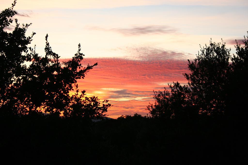 Domaine De La Blaque - B&B Varages ภายนอก รูปภาพ