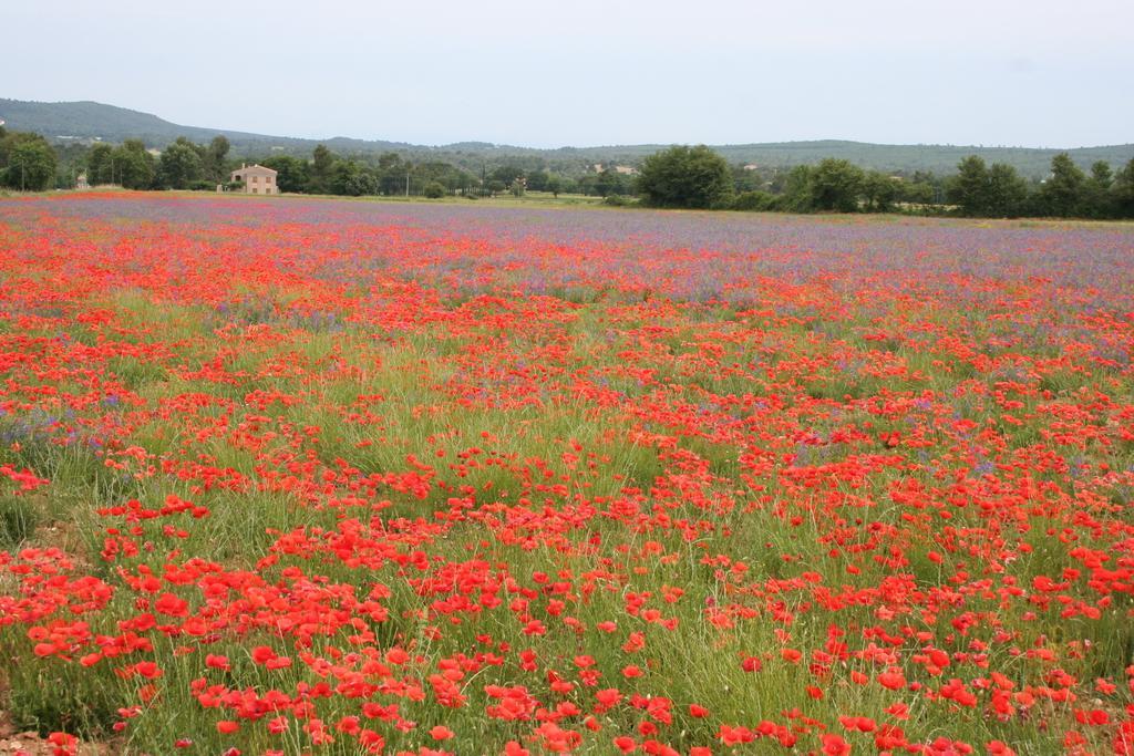 Domaine De La Blaque - B&B Varages ภายนอก รูปภาพ