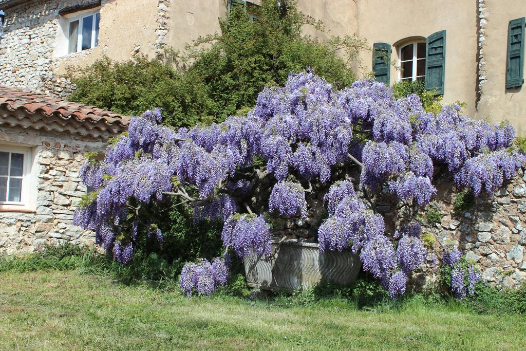 Domaine De La Blaque - B&B Varages ภายนอก รูปภาพ