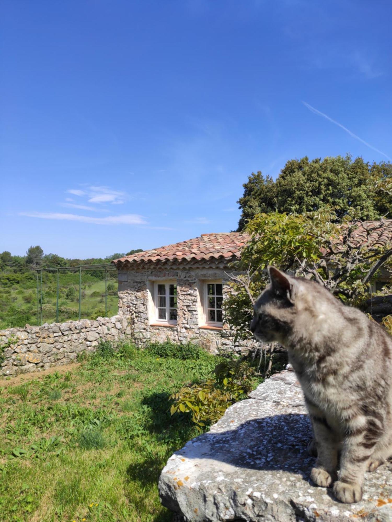 Domaine De La Blaque - B&B Varages ภายนอก รูปภาพ