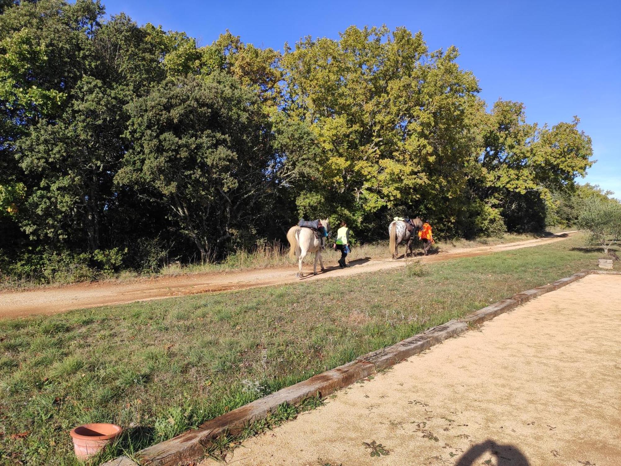 Domaine De La Blaque - B&B Varages ภายนอก รูปภาพ